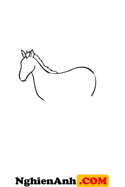Cách vẽ con ngựa đơn giản bước 3: Vẽ thân ngựa
