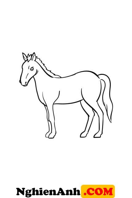 Cách vẽ con ngựa đơn giản bước 5: vẽ mắt và mũi ngựa