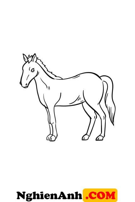 Cách vẽ con ngựa đơn giản bước 6: Thêm chi tiết lông ngựa