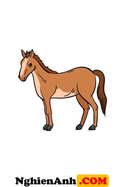 Cách vẽ con ngựa đơn giản bước 7: hoàn thiện tô màu cho ngựa