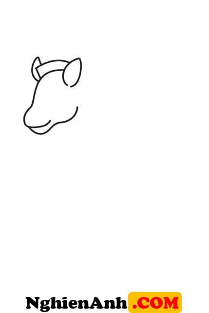 Cách vẽ con ngựa vằn bước 2: Vẽ đầu ngựa