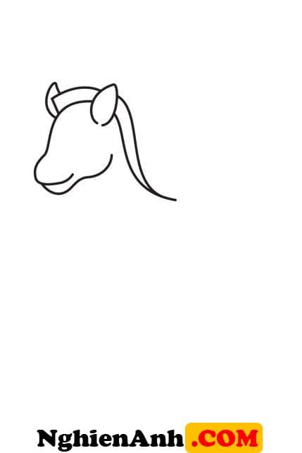 Cách vẽ con ngựa vằn bước 3: Vẽ Bờm ngựa