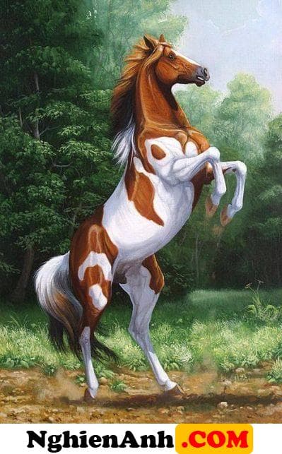 Tranh vẽ con ngựa màu 3D đẹp