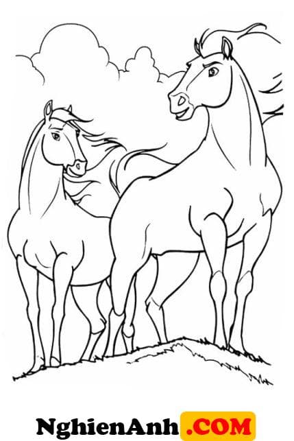 Vẽ hai con ngựa đứng cùng nhau trên bãi cỏ