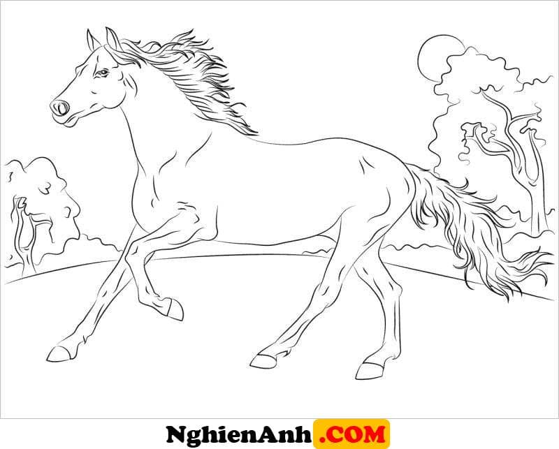 Cách vẽ con ngựa cơ bắp đang chạy